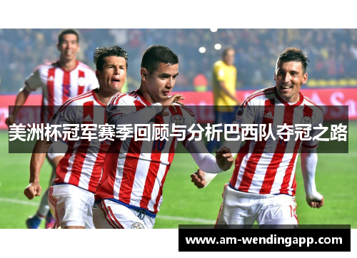 美洲杯冠军赛季回顾与分析巴西队夺冠之路