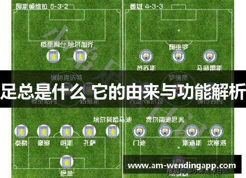 足总是什么 它的由来与功能解析