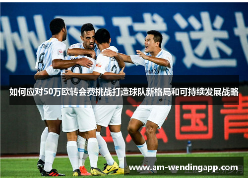 如何应对50万欧转会费挑战打造球队新格局和可持续发展战略 如何应对50万欧转会费挑战打造球队新格局和可持续发展战略
