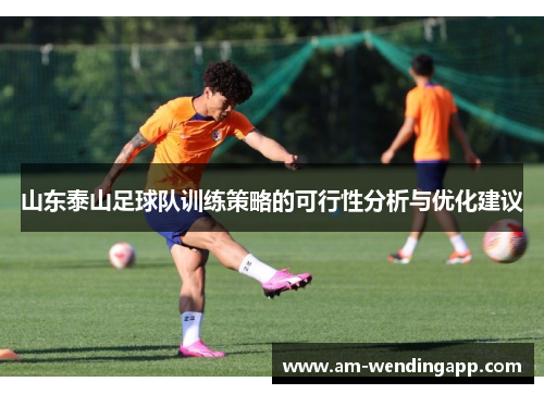山东泰山足球队训练策略的可行性分析与优化建议 山东泰山足球队训练策略的可行性分析与优化建议