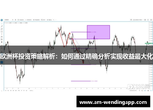 欧洲杯投资策略解析:如何通过精确分析实现收益最大化 欧洲杯投资策略解析:如何通过精确分析实现收益最大化