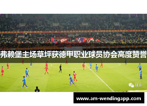 弗赖堡主场草坪获德甲职业球员协会高度赞誉